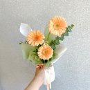 사림동151 이미지