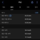 신기세천 이미지