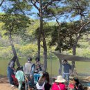 늘푸른꿈 이미지