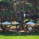 솔밭공원 이미지