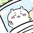 샵두꺼비 이미지