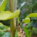 명주한의원 이미지