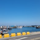 제주도 돌집 삼다헌 세화점 이미지