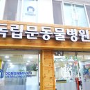 독립문동물병원 이미지