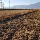 철원랜드 이미지