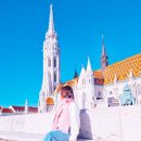 유럽 동유럽 패키지여행 DAY 8. 헝가리 부다페스트 야경