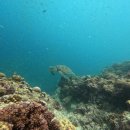 하이클래스 당구장 | 6월 마무리 일상 기록(서울 여행, 동창회, 세부 여행)