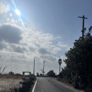 중앙로5길~평동로7길 | 제주살이 10편 (2/4-2/6) (끝!)