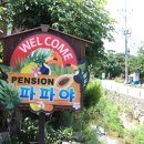 해돋이펜션 | 경주 애견동반 펜션 멍멍 강아지가 좋아했어요