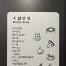 다산리틀주니어