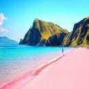 핑크비치 이미지