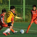 모란야구장 이미지