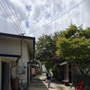 멍멍식객 | 서울 인근 가평 애견 동반 펜션 퍼니멍멍 갤럭시하우스 내돈내산 솔직 후기