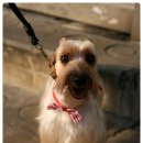 기다리다 이미지