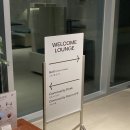 맹그로브 신설 이미지