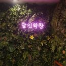 해운대 막창 이미지