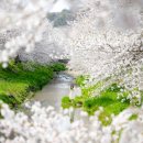 성북2리 마을회관 이미지