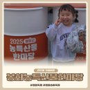 산들내 | 경북 봉화 송이축제 농특산물한마당 먹거리 체험 방문 후기