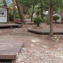 개미들솔향기야영장 이미지