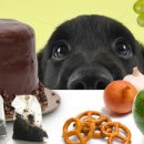 삼성메디케어 이미지