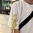 유림3호 | 양산 파충류카페 망고키즈트라이랩 아이와 실내체험 솔직후기