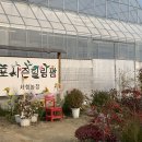 포시즌 이미지