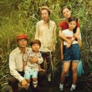 영화-미나리 이미지