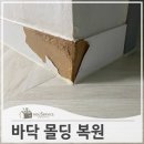 골프 | 강아지가물어뜯은 바닥 몰딩 복원