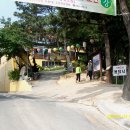 솔마루길 남산 이미지