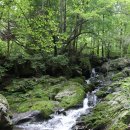 산골짜기 이미지