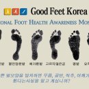 굿피트 이미지