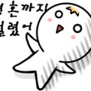 스테이영피부과의원 이미지