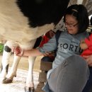 진주목장 이미지