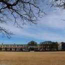 세화수목 이미지