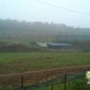 충의농장 이미지