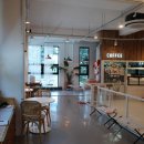 완산애견 이미지