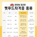 [전문가과정] 펫푸드 스타일리스트 2급 자격과정 이미지