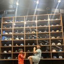 엔씨 | 엔씨 다이노스 팬 투어 프로그램 후기