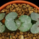 대승환경 이미지