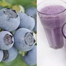 성찬농원 이미지