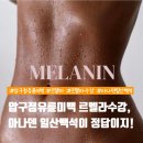 �c방카정비프라자 | 압구정유륜미백 르멜라, 프리미엄 고객 니즈를 충족할 르멜라 지금 아님 늦어요