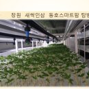 동호팜 이미지