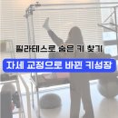 키필라테스 | 다율동 필라테스, 숨은 키 찾는 필라테스 효과 후기