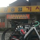 모운동길 | 예밀리-수라리재-별마로천문대 영월라이딩 리벤지 성공!