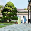 에움 456 이미지