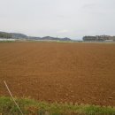 가운공인중개사사무소 이미지