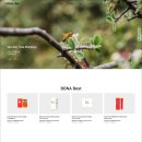 보나컴퍼니 이미지