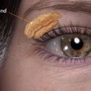 운동케어센터 이미지