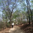 싹터나는 아침 이미지