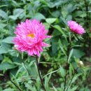 불광1-017 이미지